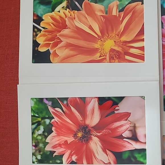 Hand Crafted Other - 3 Photo Blank Inside Flower Cards!